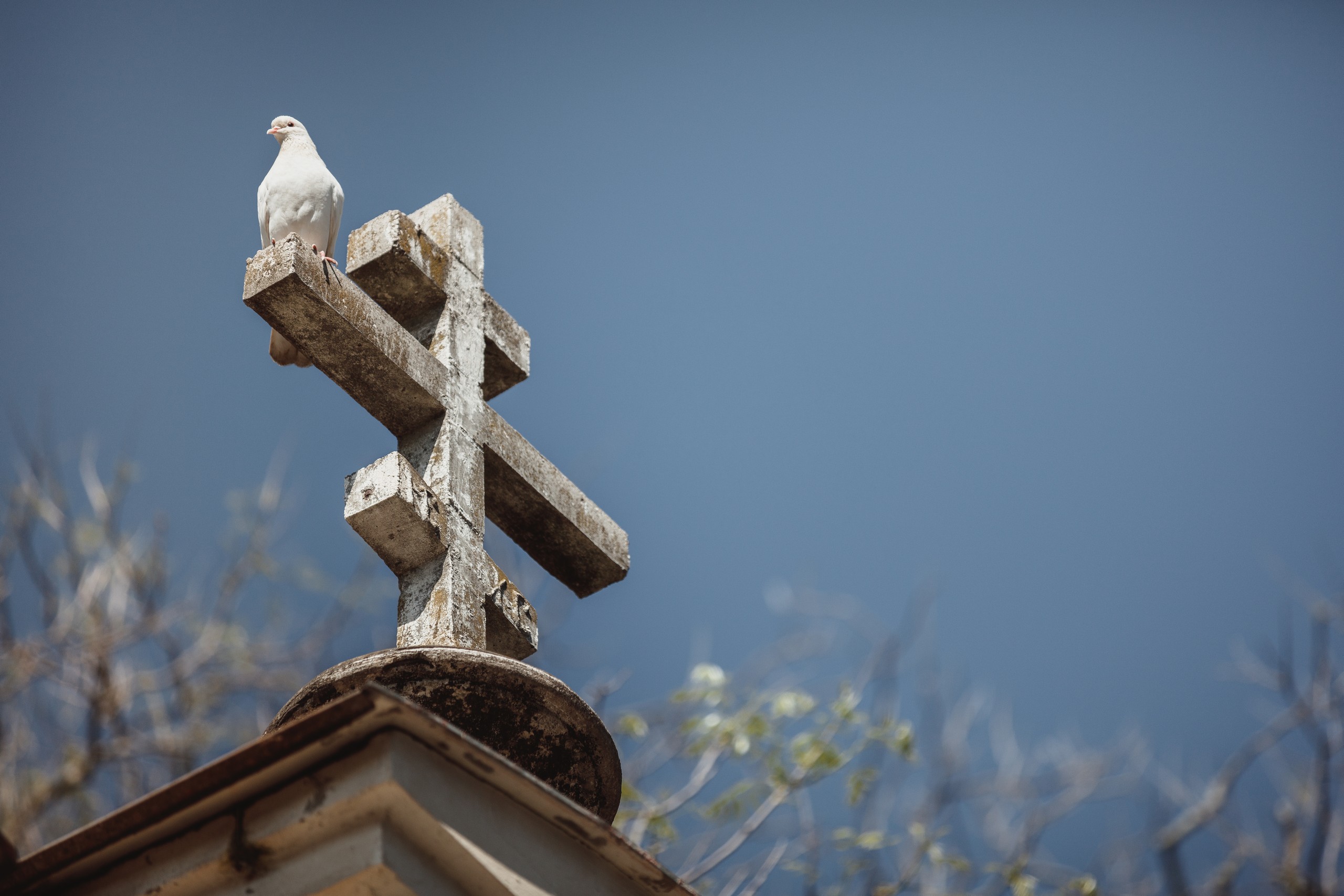 Новоафонский Симоно-Кананитский монастырь