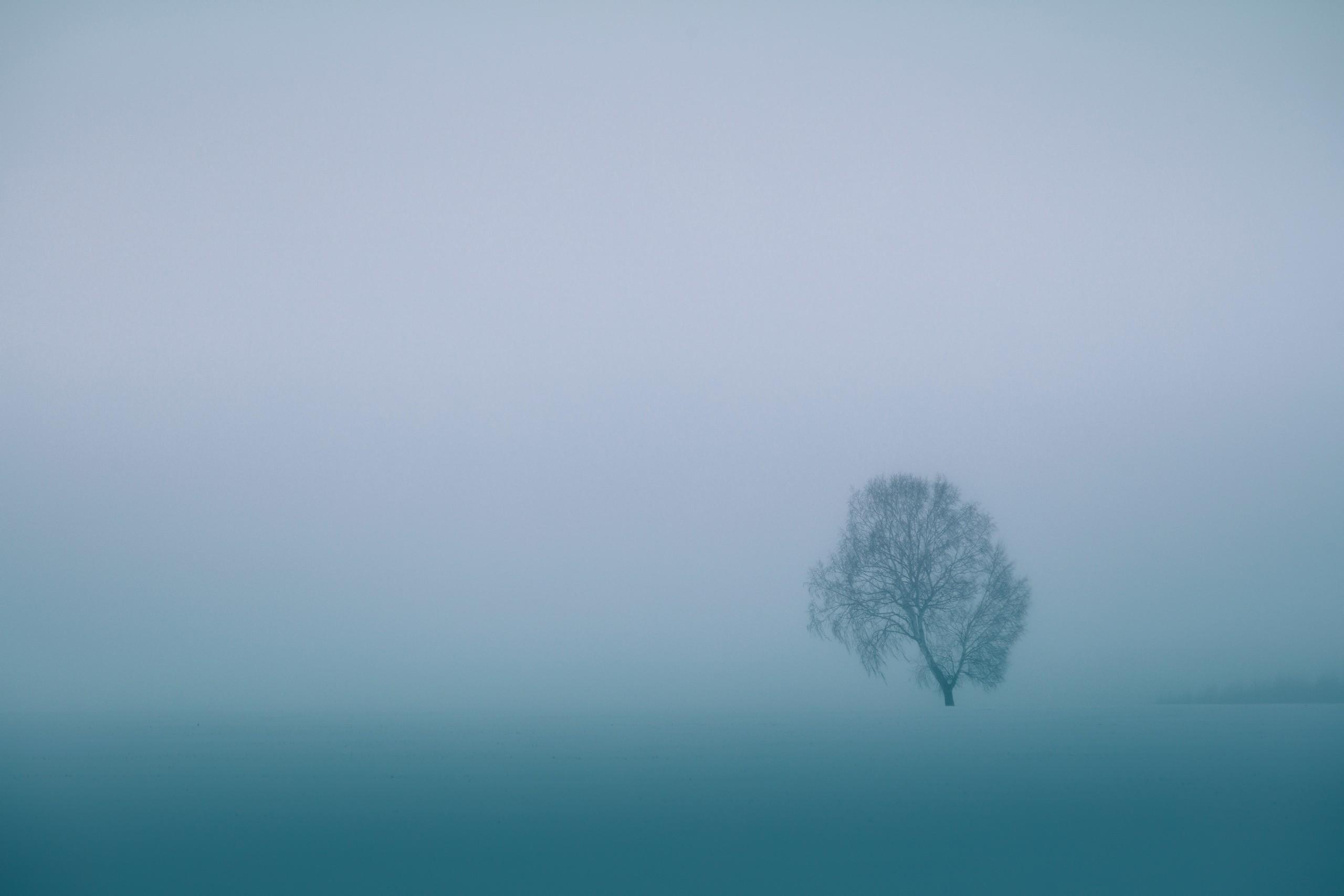 Метель под Пензой